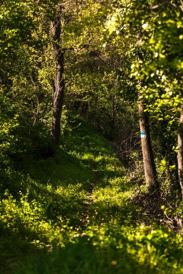 Ostello Podesteria Di Gombola - Arte E Territorio Polinago Eksteriør bilde